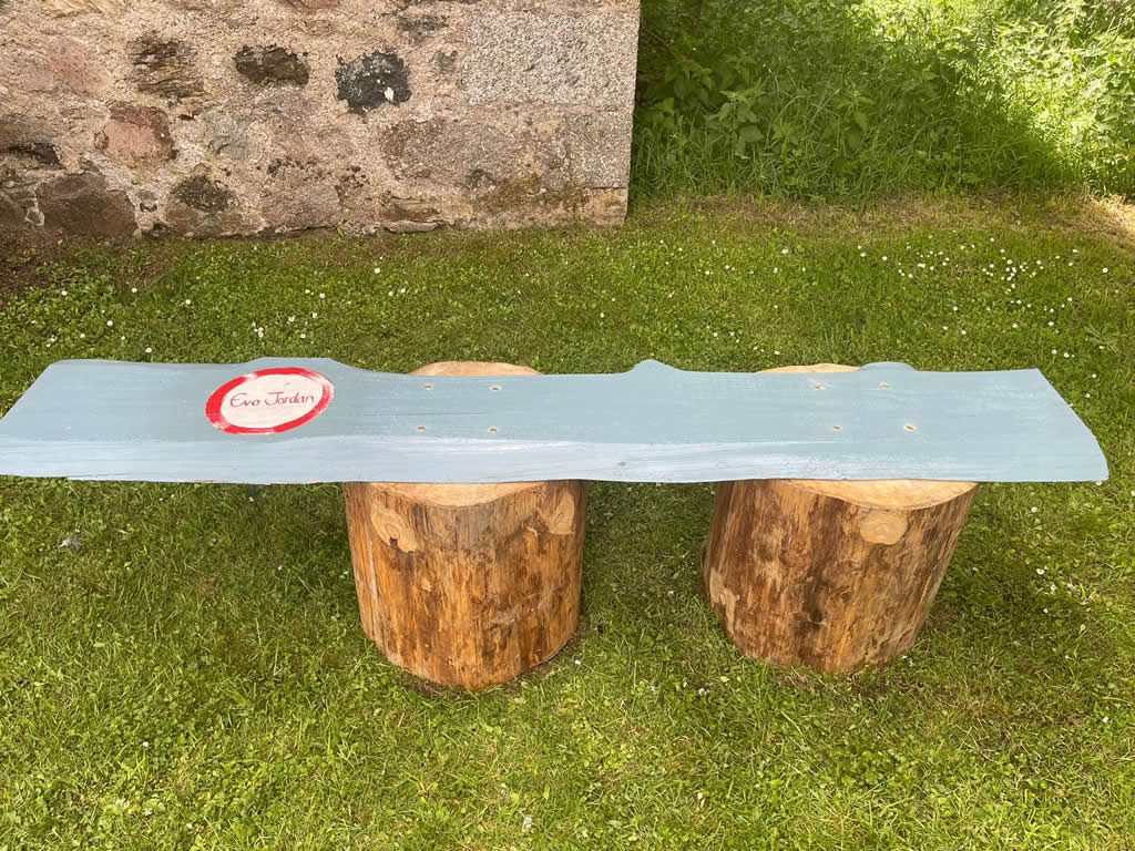 Evolution Combat Sports