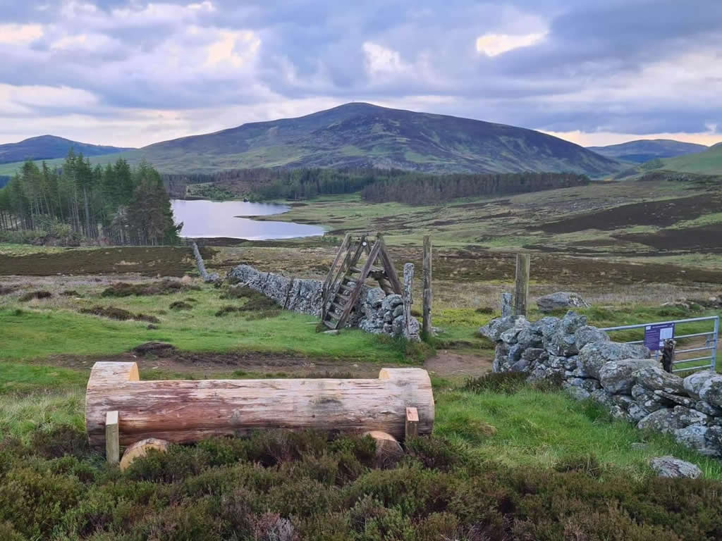 Blairgowrie & District Rotary