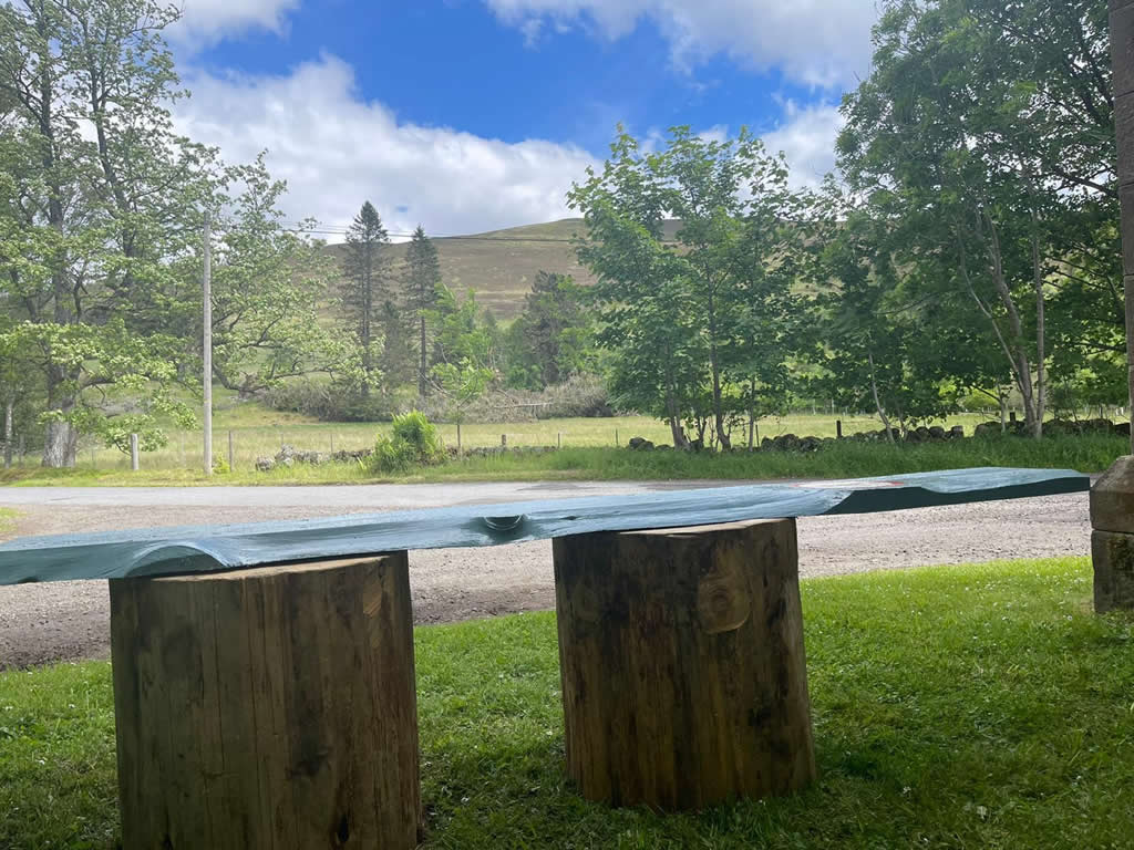 Evolution Combat Sports