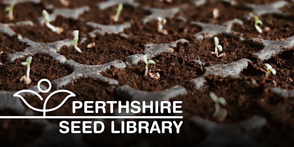 Perthshire Seed Library - Blairgowrie Library