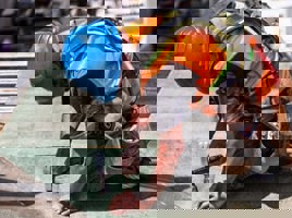 Building/Construction