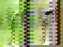 Solicitors, Estate Agents