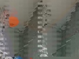 Woodworm/Dry Rot/Damp Proofing